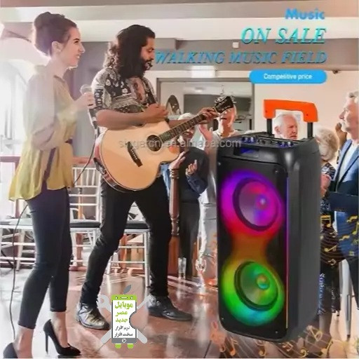 پارتی باکس DR-8830